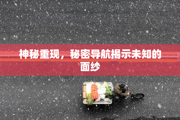神秘重现，秘密导航揭示未知的面纱