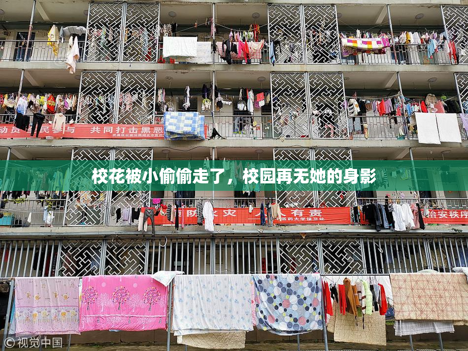 校花被小偷偷走了，校园再无她的身影