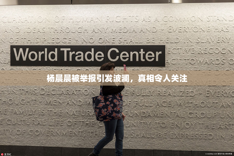 杨晨晨被举报引发波澜，真相令人关注