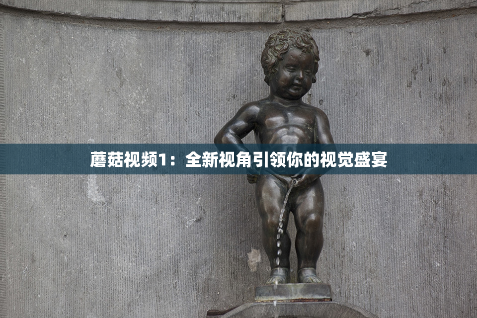 蘑菇视频1：全新视角引领你的视觉盛宴