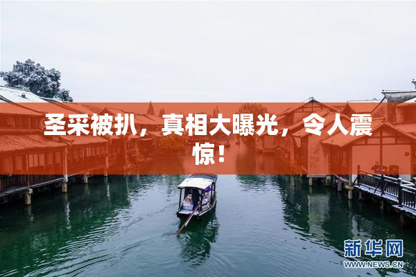 圣采被扒，真相大曝光，令人震惊！