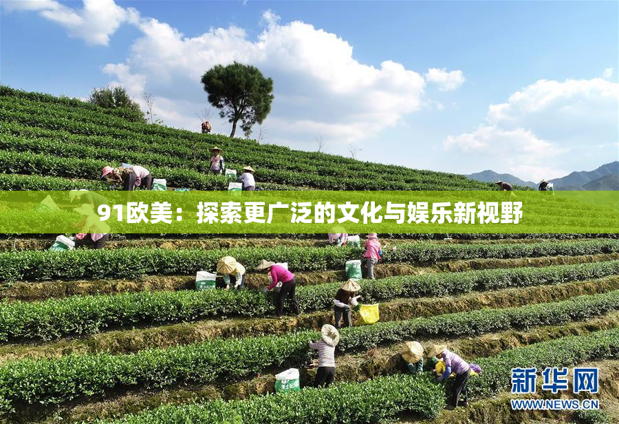 91欧美：探索更广泛的文化与娱乐新视野