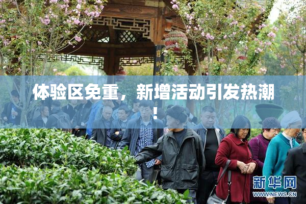 体验区免重，新增活动引发热潮！