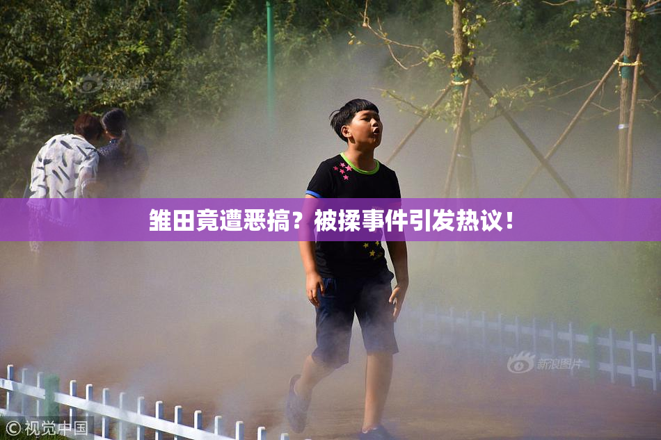 雏田竟遭恶搞？被揉事件引发热议！