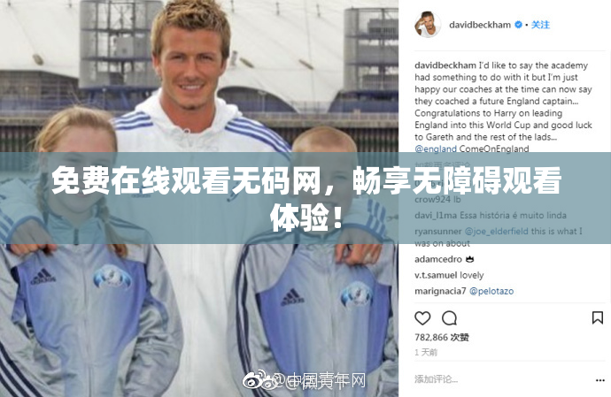 免费在线观看无码网，畅享无障碍观看体验！