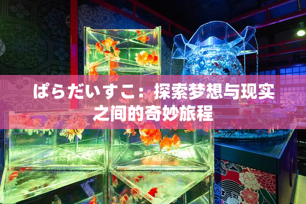 ぱらだいすこ：探索梦想与现实之间的奇妙旅程