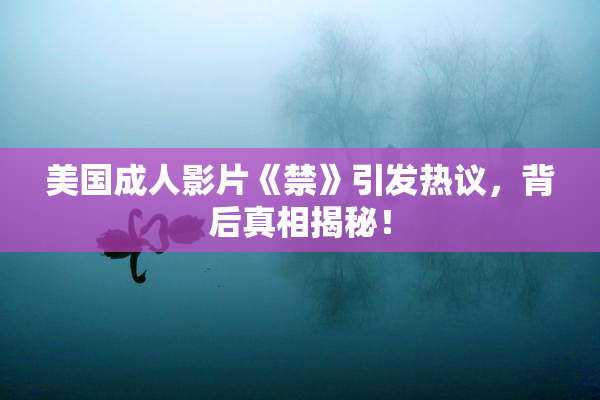 美国成人影片《禁》引发热议，背后真相揭秘！
