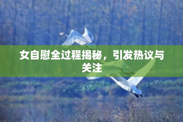 女自慰全过程揭秘，引发热议与关注