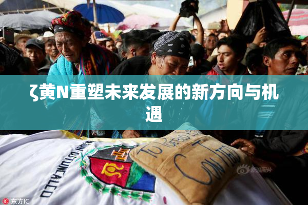 ζ黄Ν重塑未来发展的新方向与机遇