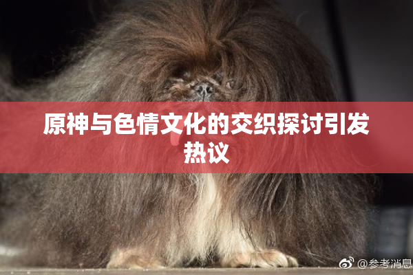 原神与色情文化的交织探讨引发热议