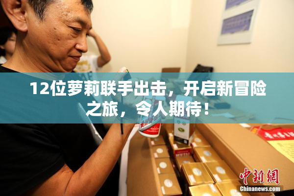 12位萝莉联手出击，开启新冒险之旅，令人期待！
