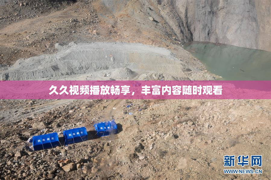 久久视频播放畅享，丰富内容随时观看