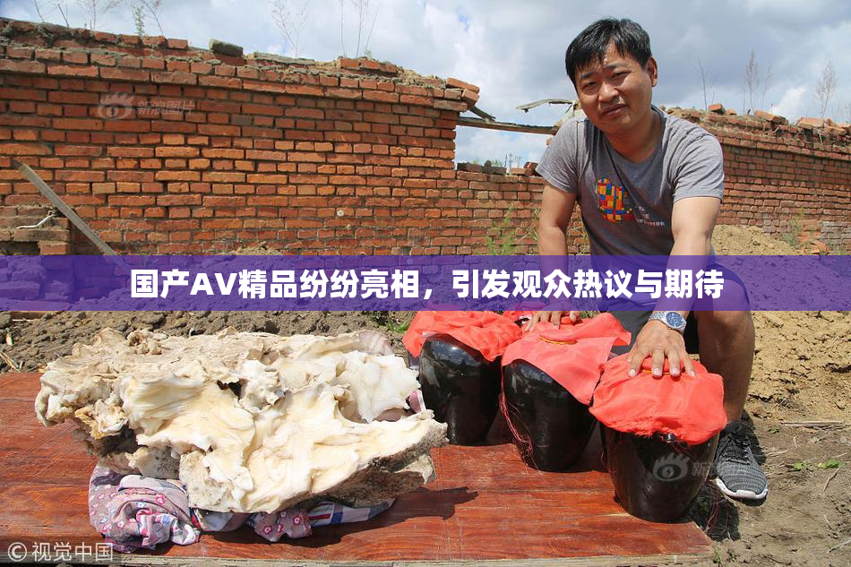 国产AV精品纷纷亮相，引发观众热议与期待