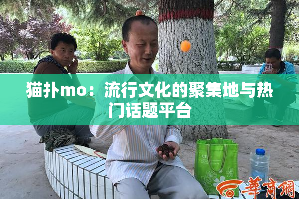 猫扑mo：流行文化的聚集地与热门话题平台