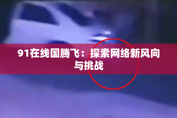 91在线国腾飞：探索网络新风向与挑战
