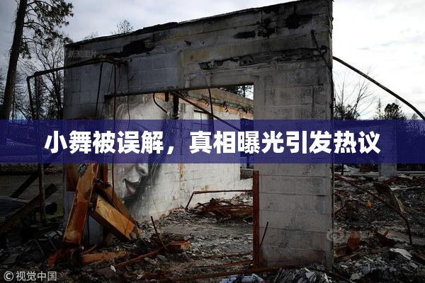 小舞被误解，真相曝光引发热议