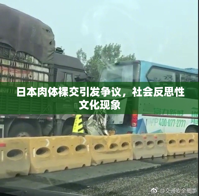 日本肉体裸交引发争议，社会反思性文化现象