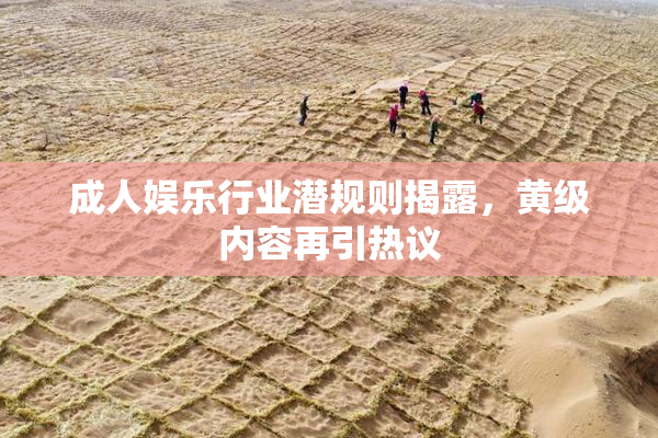 成人娱乐行业潜规则揭露，黄级内容再引热议