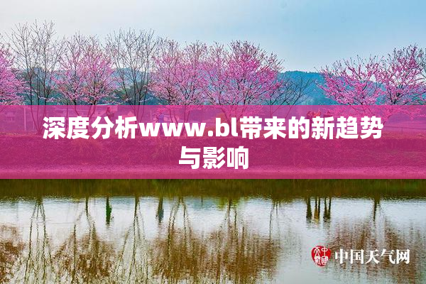 深度分析www.bl带来的新趋势与影响