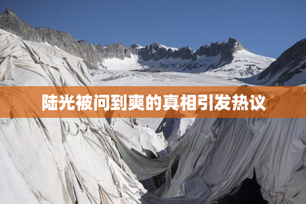 陆光被问到爽的真相引发热议