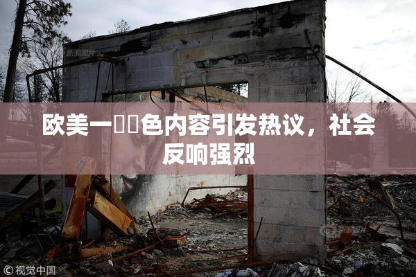 欧美一級黃色内容引发热议，社会反响强烈