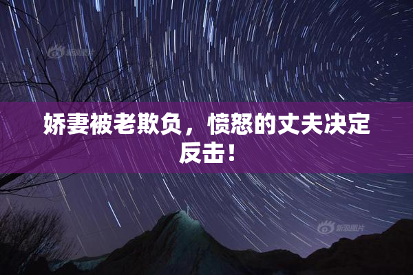 娇妻被老欺负，愤怒的丈夫决定反击！