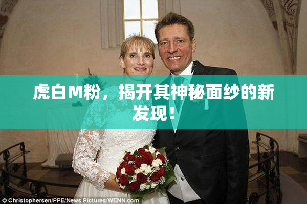 虎白M粉，揭开其神秘面纱的新发现！