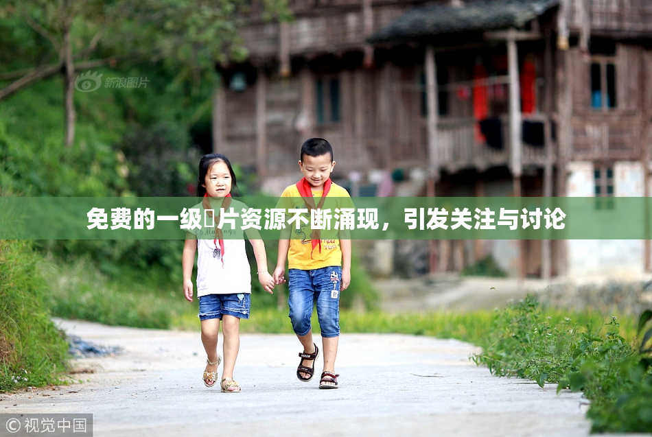 免费的一级婬片资源不断涌现，引发关注与讨论