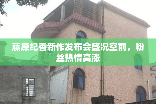 藤原纪香新作发布会盛况空前，粉丝热情高涨