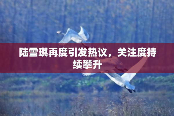 陆雪琪再度引发热议，关注度持续攀升