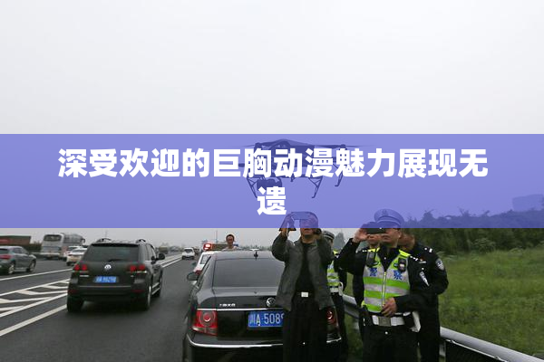 深受欢迎的巨胸动漫魅力展现无遗