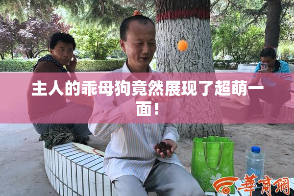 主人的乖母狗竟然展现了超萌一面！