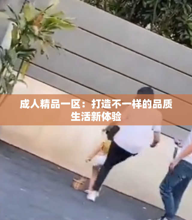 成人精品一区：打造不一样的品质生活新体验