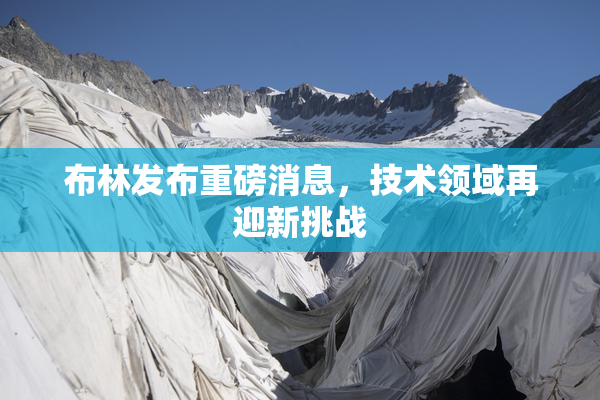布林发布重磅消息，技术领域再迎新挑战