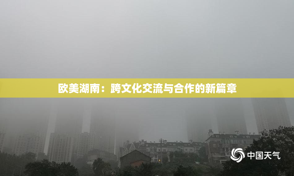 欧美湖南：跨文化交流与合作的新篇章
