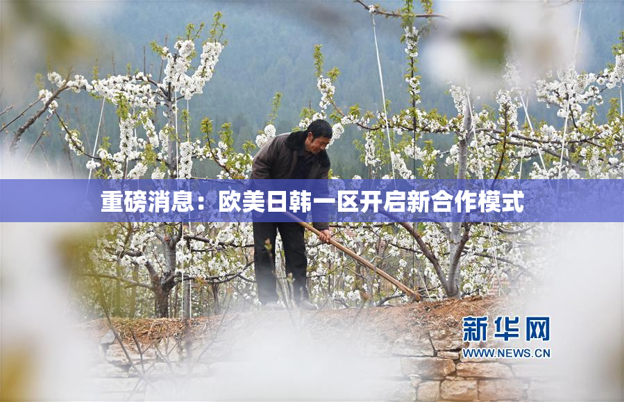 重磅消息：欧美日韩一区开启新合作模式