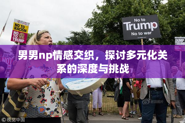 男男np情感交织，探讨多元化关系的深度与挑战
