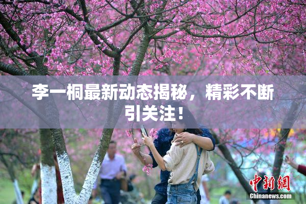李一桐最新动态揭秘，精彩不断引关注！