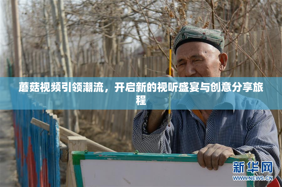 蘑菇视频引领潮流，开启新的视听盛宴与创意分享旅程