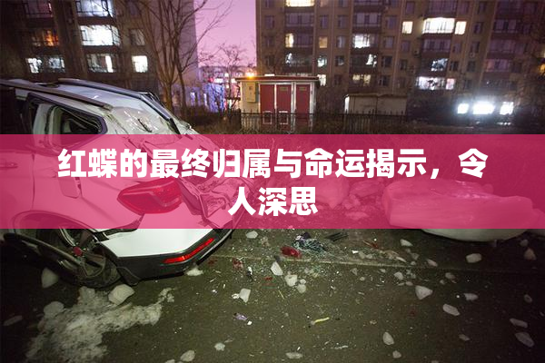 红蝶的最终归属与命运揭示，令人深思