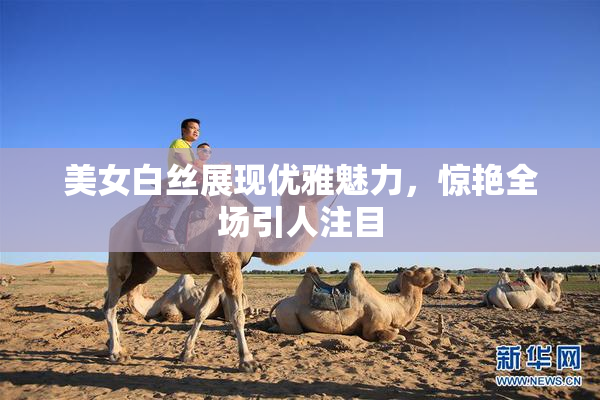 美女白丝展现优雅魅力，惊艳全场引人注目