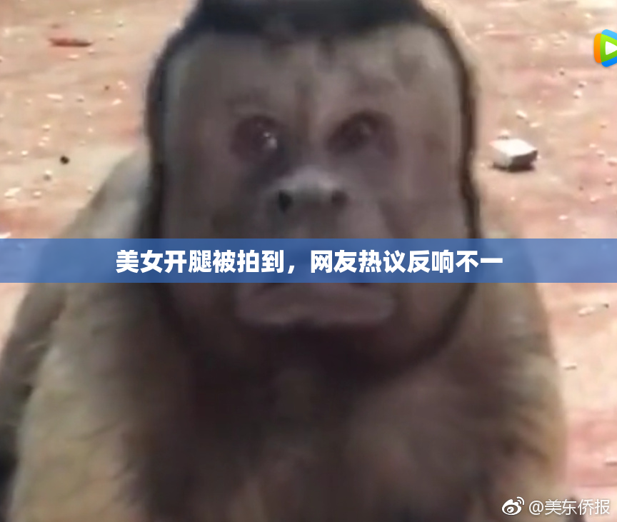 美女开腿被拍到，网友热议反响不一