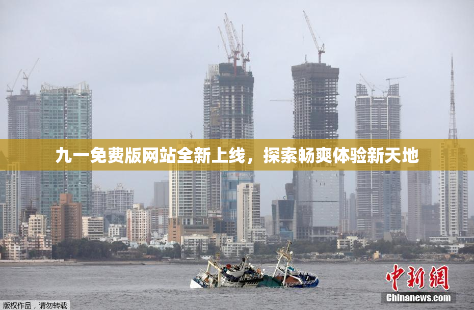 九一免费版网站全新上线，探索畅爽体验新天地