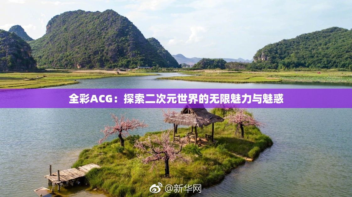 全彩ACG：探索二次元世界的无限魅力与魅惑