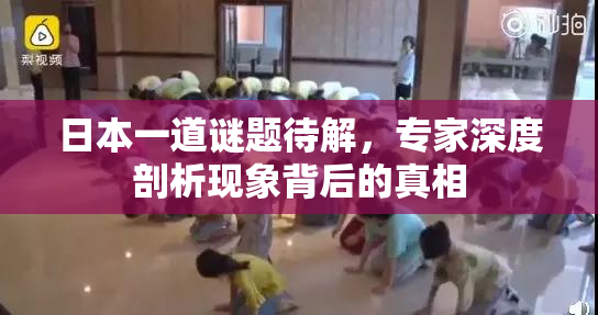 日本一道谜题待解，专家深度剖析现象背后的真相