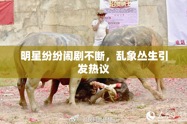 明星纷纷闹剧不断，乱象丛生引发热议