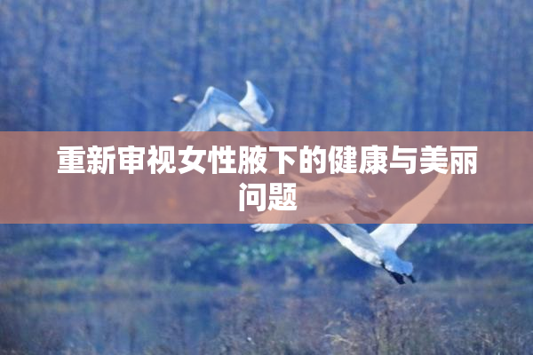 重新审视女性腋下的健康与美丽问题