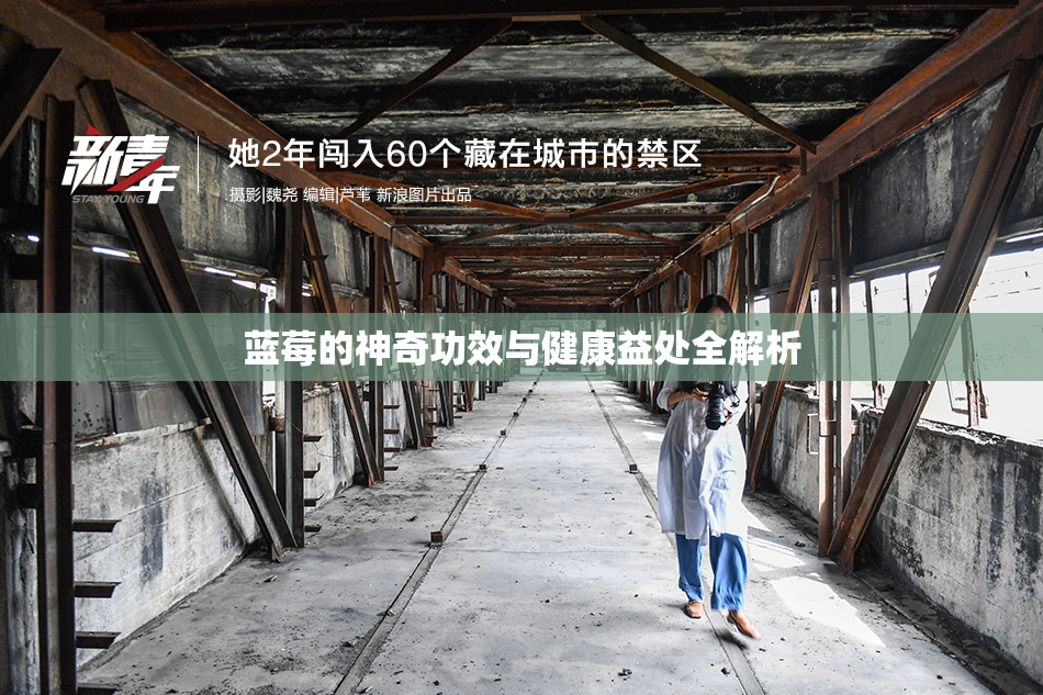 蓝莓的神奇功效与健康益处全解析