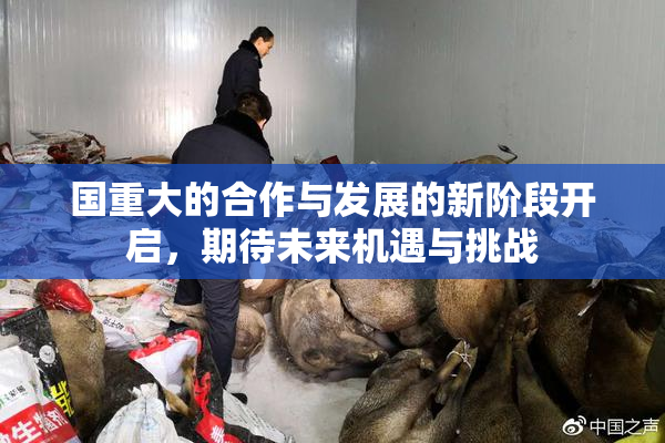 国重大的合作与发展的新阶段开启，期待未来机遇与挑战
