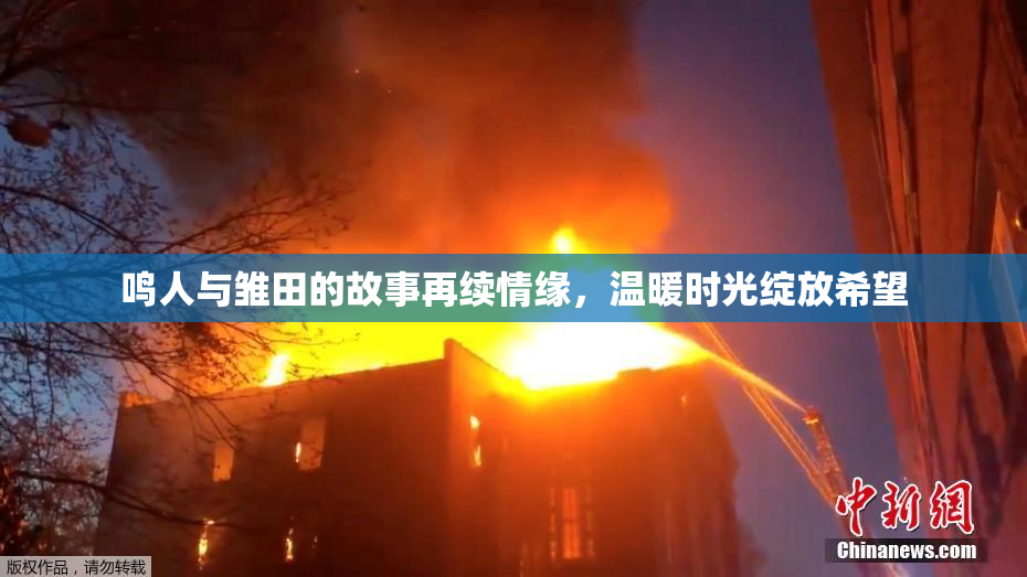 鸣人与雏田的故事再续情缘，温暖时光绽放希望
